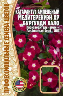 Катарантус ампельный Медитерениэн XP Бургунди Хало