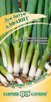 Лук батун Алфавит