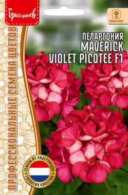 Пеларгония Маверик Violet Picotee