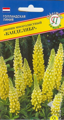 Люпин Канделябр