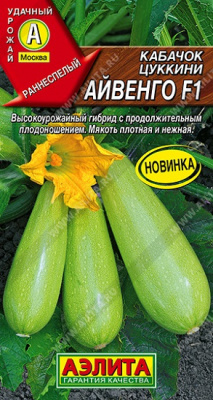 Кабачок цуккини Айвенго