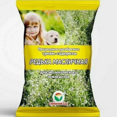 Сидерат Редька масличная
