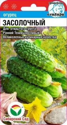 Огурец ЗАСОЛОЧНЫЙ