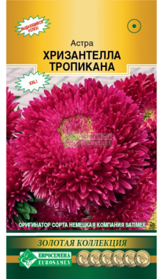 Хризантелла Тропикана