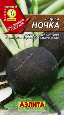 Редька Ночка