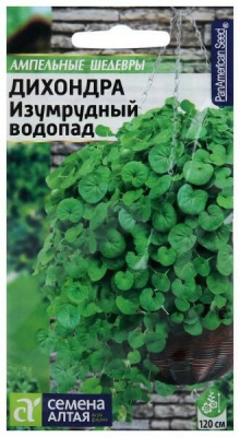 Дихондра Изумрудный Водопад