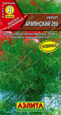Укроп Армянский