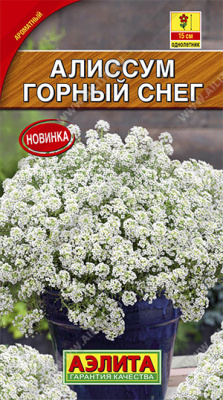 Алиссум Горный снег