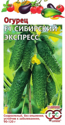 Огурец Сибирский экспресс