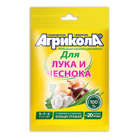 luk chesnok