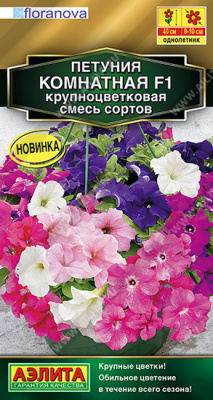 Петуния Комнатная крупноцветковая, смесь окрасок