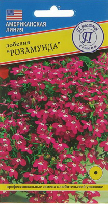 Лобелия Розамунда