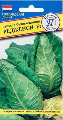 Редженси