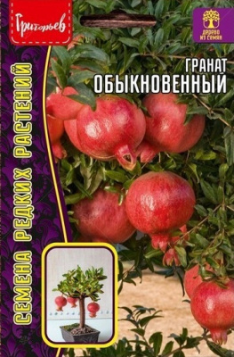 Гранат Обыкновенный