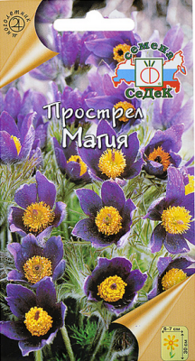 Прострел МАГИЯ
