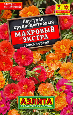 Портулак махровый Экстра, смесь сортов