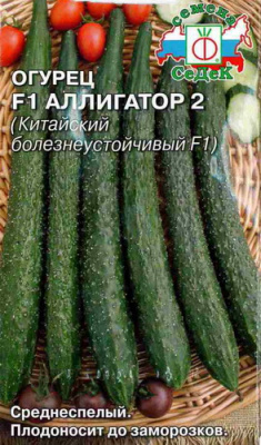 Огурец Аллигатор