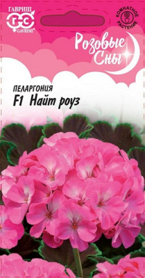 Найт Роуз