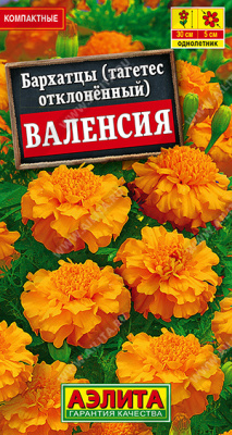 Бархатцы Валенсия