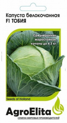 Капуста Тобия