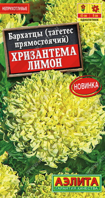 Бархатцы Хризантема лимон