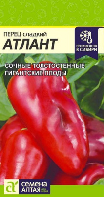 Перец сладкий Атлант