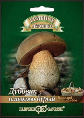 ДУБОВИК