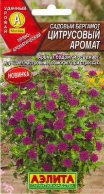 Бергамот Цитрусовый Аромат