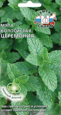 Мята Церемония колосистая