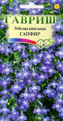 Лобелия ампельная Регатта Сапфир