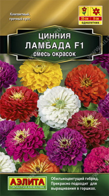 Цинния Ламбада, смесь окрасок