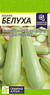 Кабачок Белуха