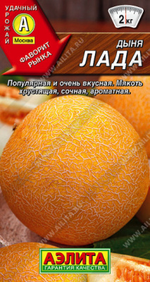 Дыня Лада