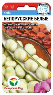 Бобы Белорусские белые