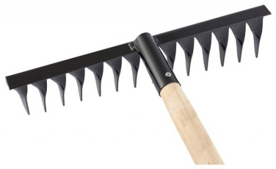 61768