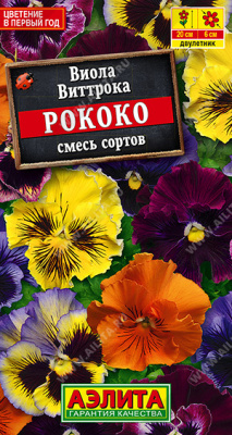 Виола РОКОКО
