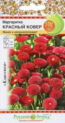 Маргаритка Красный ковер