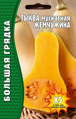 Тыква ЖЕМЧУЖИНА МУСКАТНАЯ
