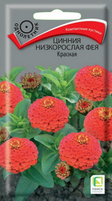 Цинния Фея красная