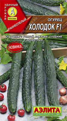 Огурец китайский Холодок