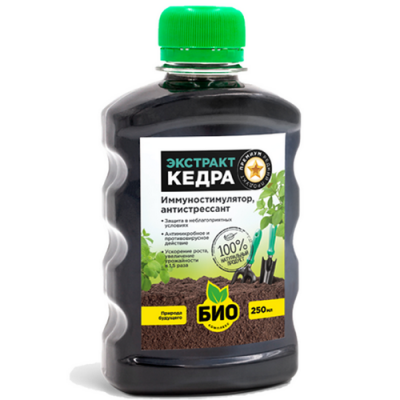 Экстракт Кедра