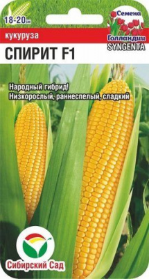 Кукуруза Спирит
