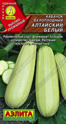 Кабачок Алтайский белый