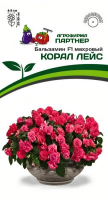 Бальзамин Корал Лейс махровый