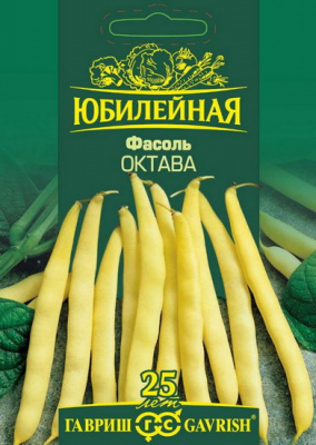 Вигна Октава