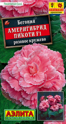 Бегония Америгибрид Пикоти F1 абрикосовое кружево