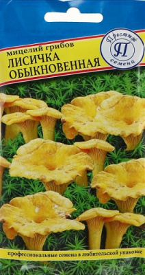 Мицелий ЛИСИЧКА (Престиж)