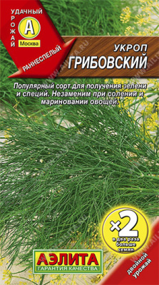 Укроп Грибовский
