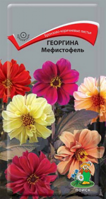 Георгина Мефистофель