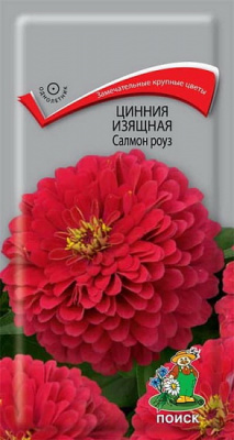 Цинния изящная Салмон роуз